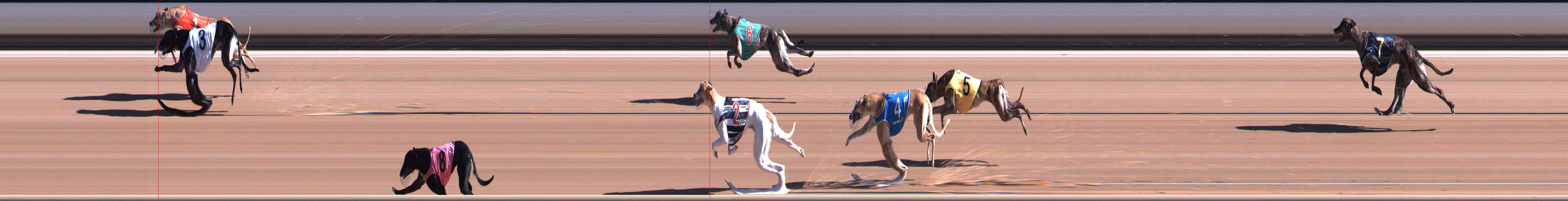Race result finish photo